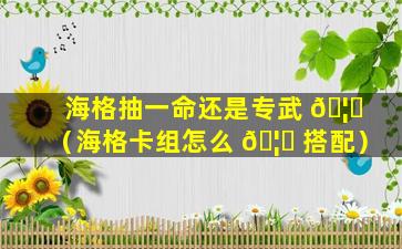 海格抽一命还是专武 🦆 （海格卡组怎么 🦊 搭配）